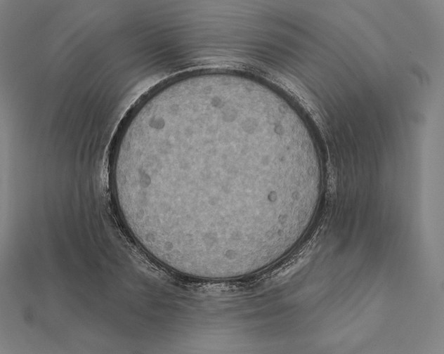 X0000112030883200908311213