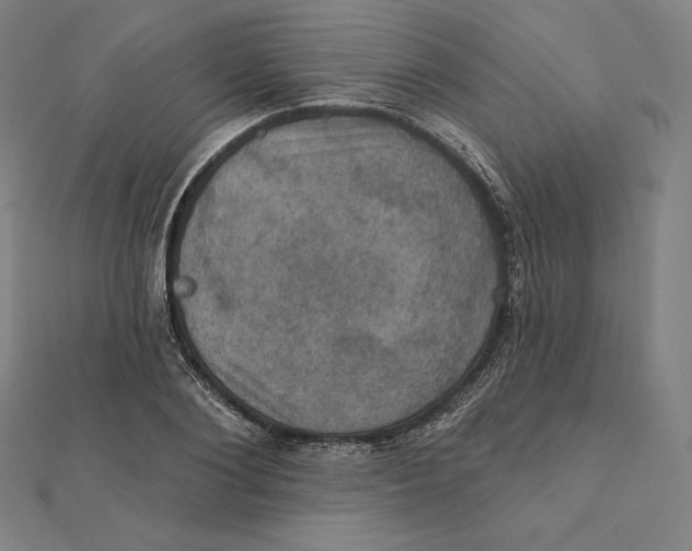 X0000112030884200908311213