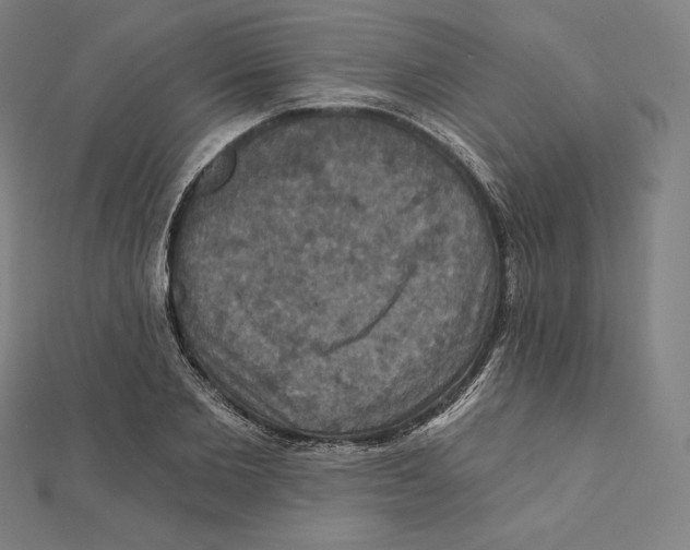 X0000112030885200908311213