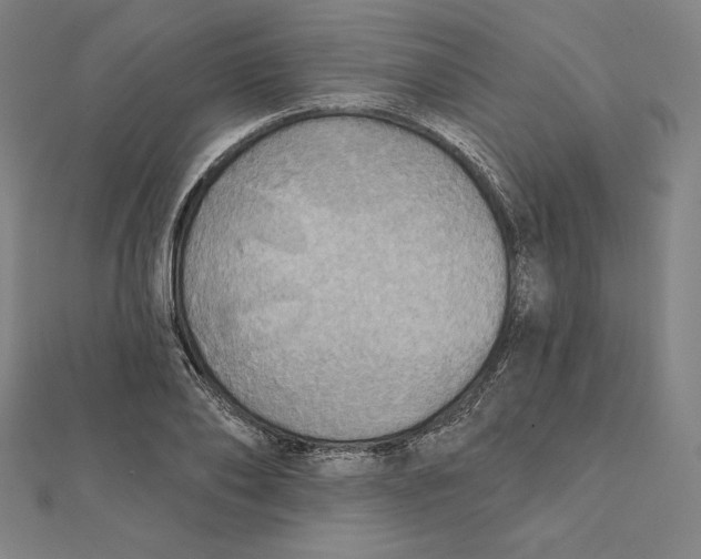 X0000112030886200908311213