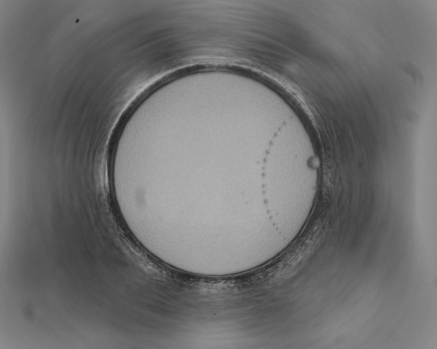 X0000112030887200908311213