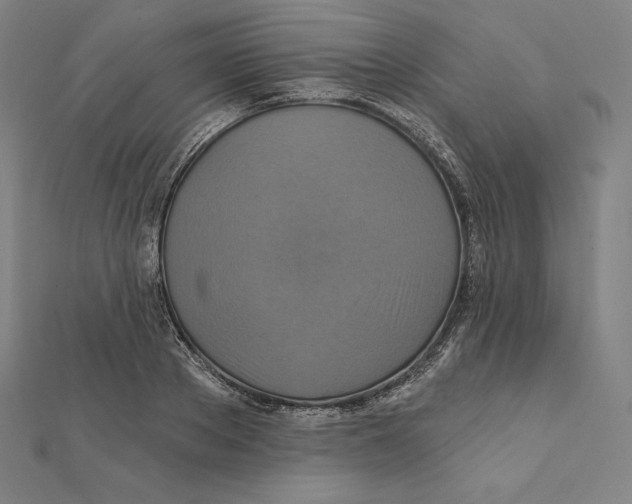 X0000112030889200908311213