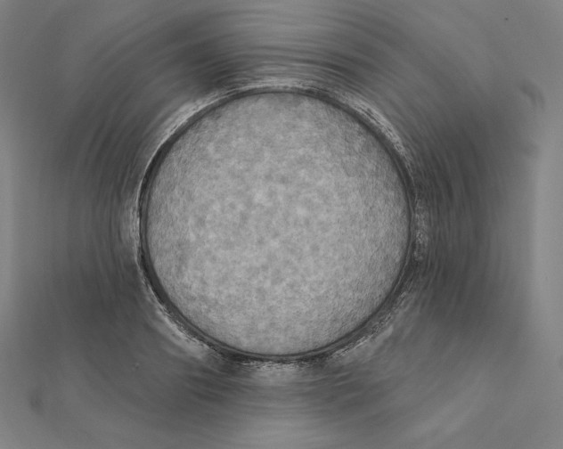X0000112030890200908311213