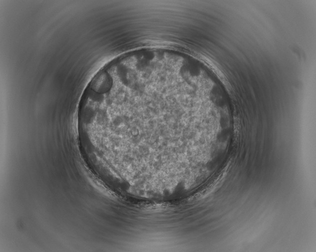X0000112030891200908311213