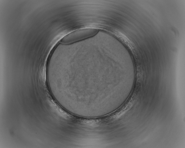 X0000112030892200908311213