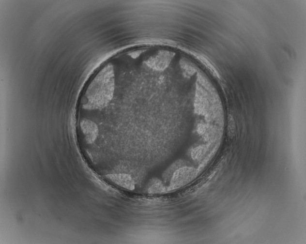 X0000112030895200908311213
