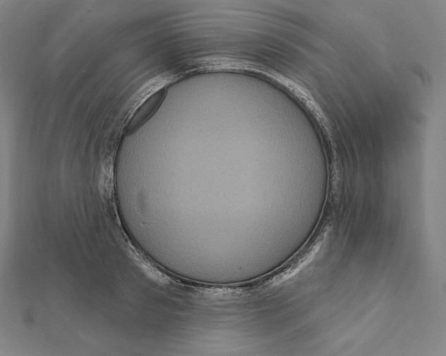 X0000112030897200908311213