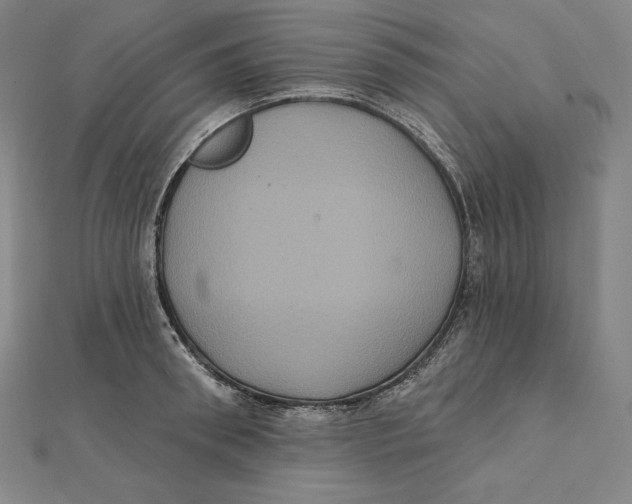 X0000112030898200908311213