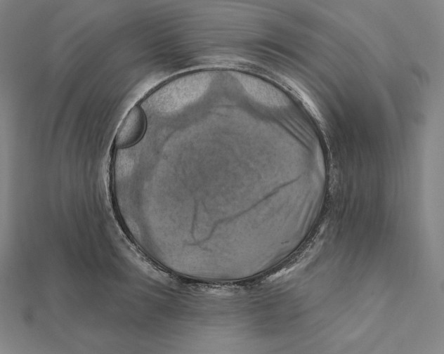 X0000112030899200908311213