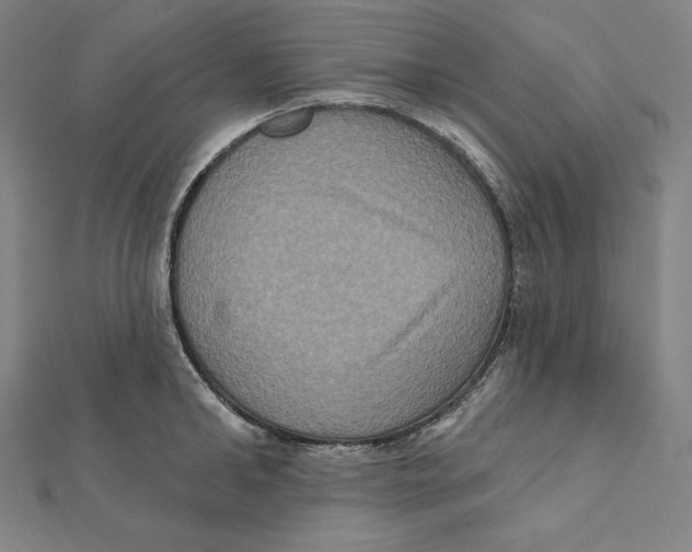 X0000112030902200908311213