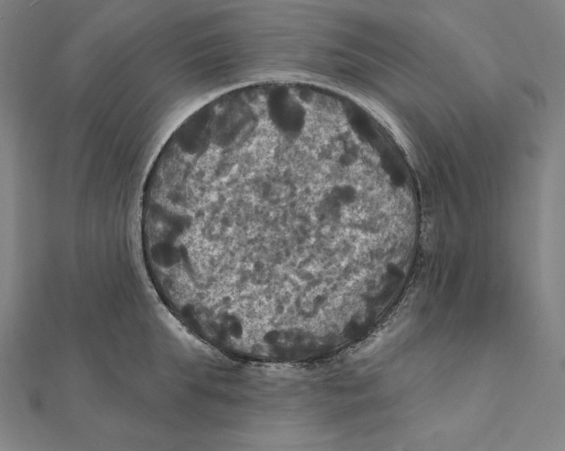 X0000112030903200908311213