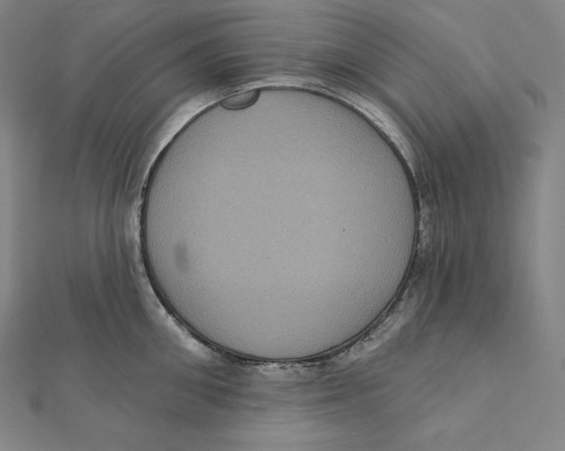 X0000112030906200908311213