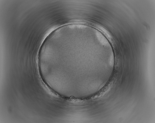 X0000112030907200908311213