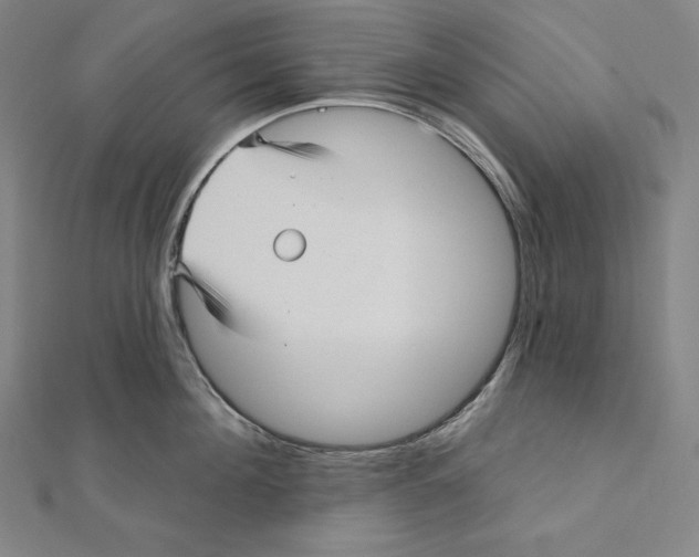 X0000112030908200908311213