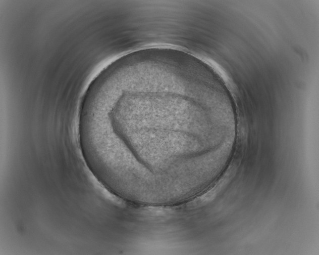 X0000112030910200908311213