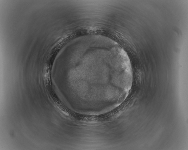 X0000112030914200908311212