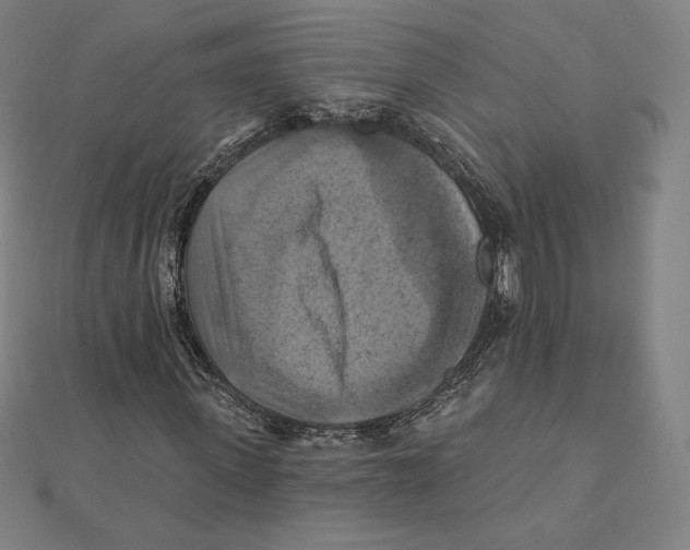 X0000112030915200908311212