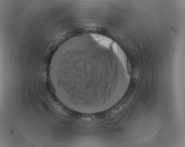 X0000112030916200908311212
