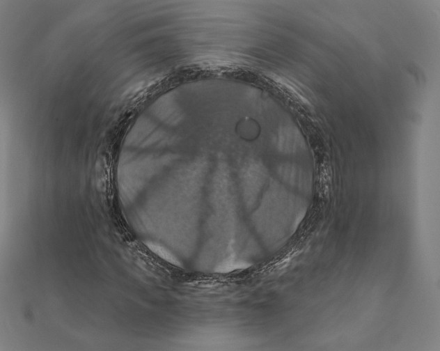X0000112030917200908311212