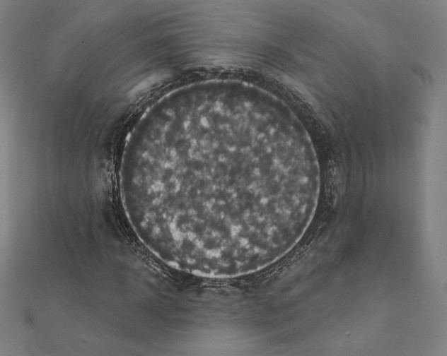 X0000112030918200908311212