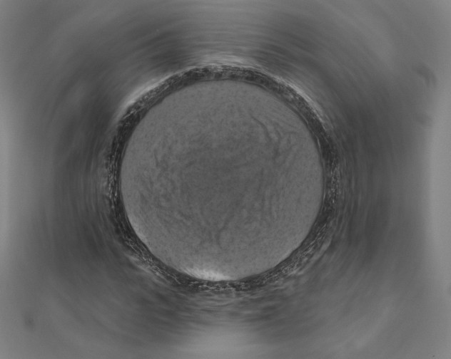 X0000112030919200908311212