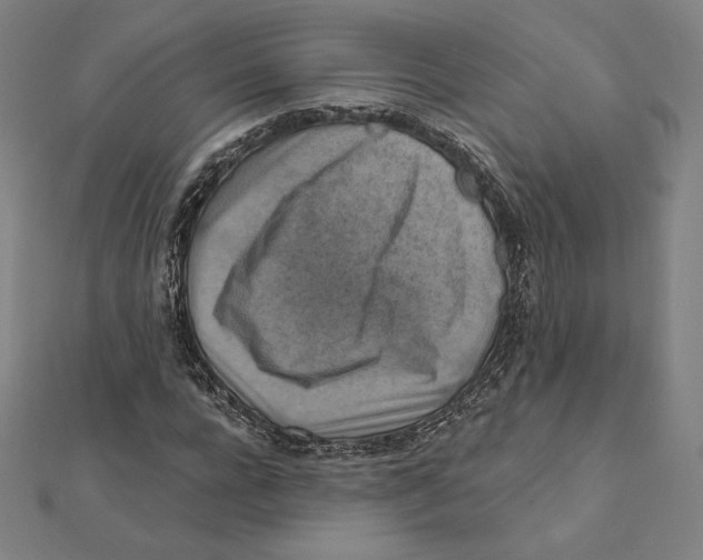 X0000112030920200908311212