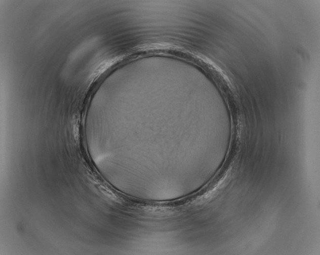 X0000112030921200908311212