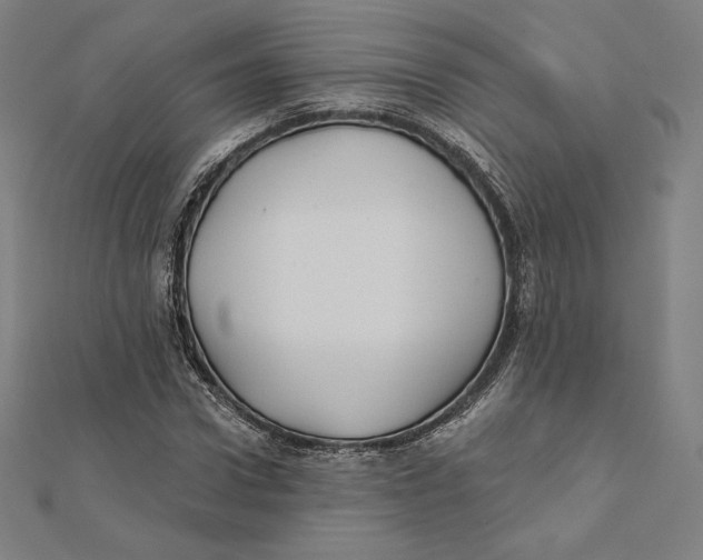 X0000112030922200908311212