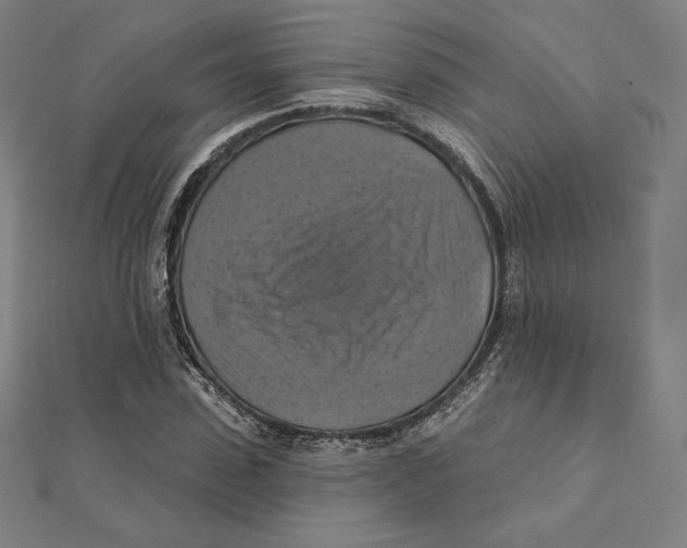 X0000112030923200908311212