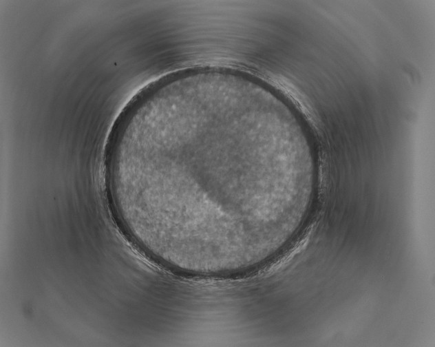 X0000112030924200908311212