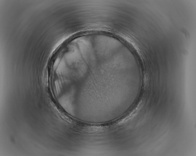 X0000112030925200908311212