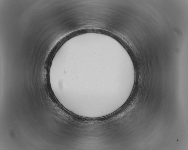X0000112030926200908311212