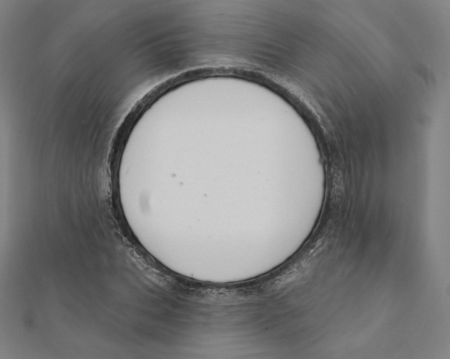 X0000112030927200908311212