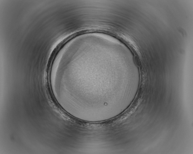 X0000112030928200908311212