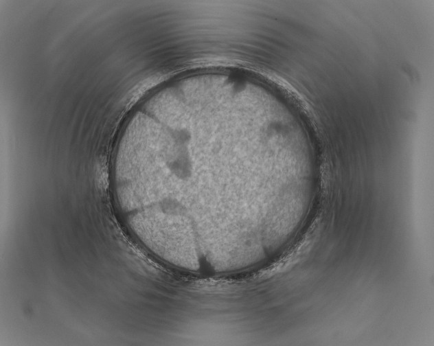X0000112030929200908311212