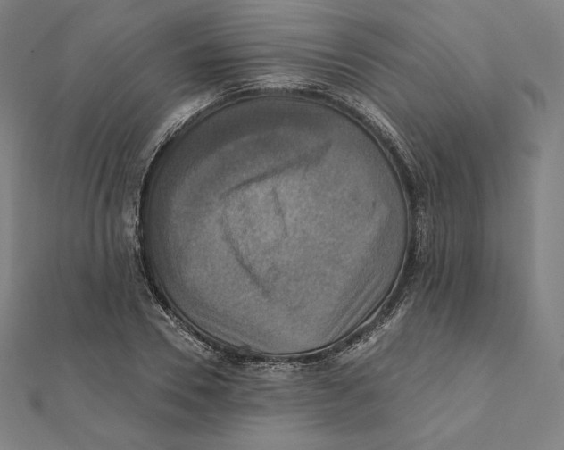 X0000112030930200908311212