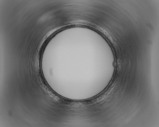 X0000112030931200908311212