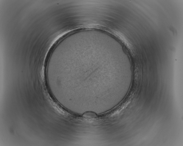 X0000112030932200908311212
