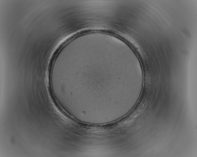 X0000112030935200908311212