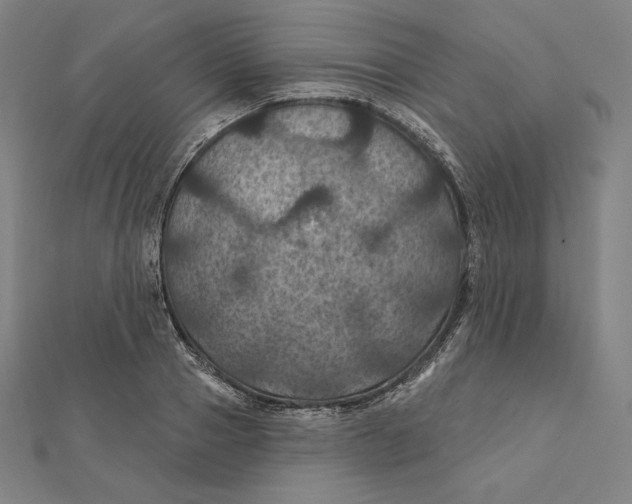 X0000112030937200908311212