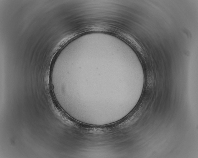 X0000112030938200908311212