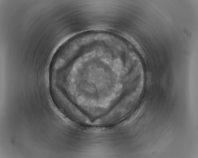 X0000112030939200908311212