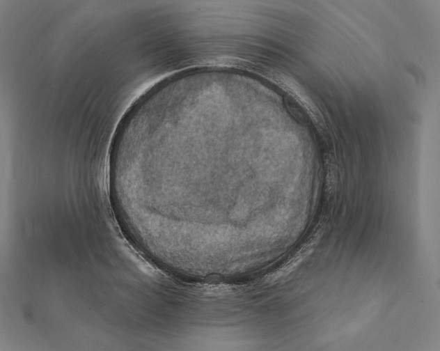 X0000112030940200908311212