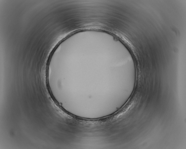 X0000112030941200908311212