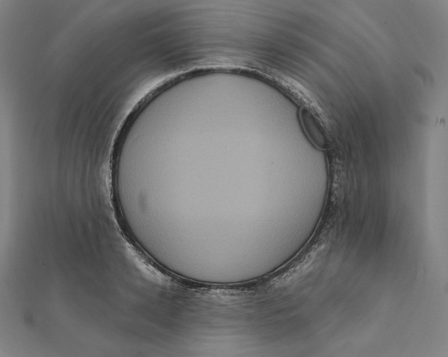 X0000112030942200908311212