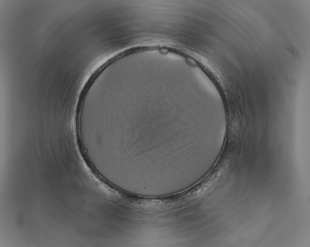 X0000112030943200908311212