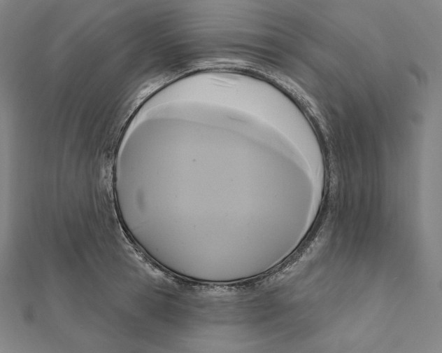 X0000112030945200908311212