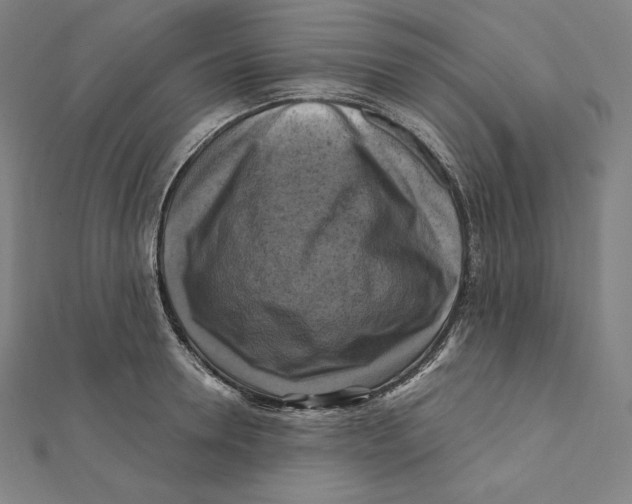 X0000112030946200908311212