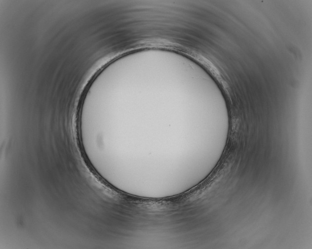 X0000112030947200908311213