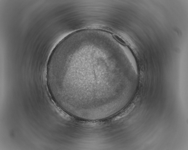 X0000112030948200908311213